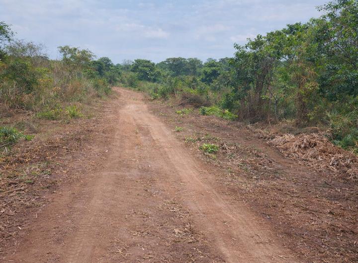 Affordable land for sale in Asaba - Newtown Estate Ibusa